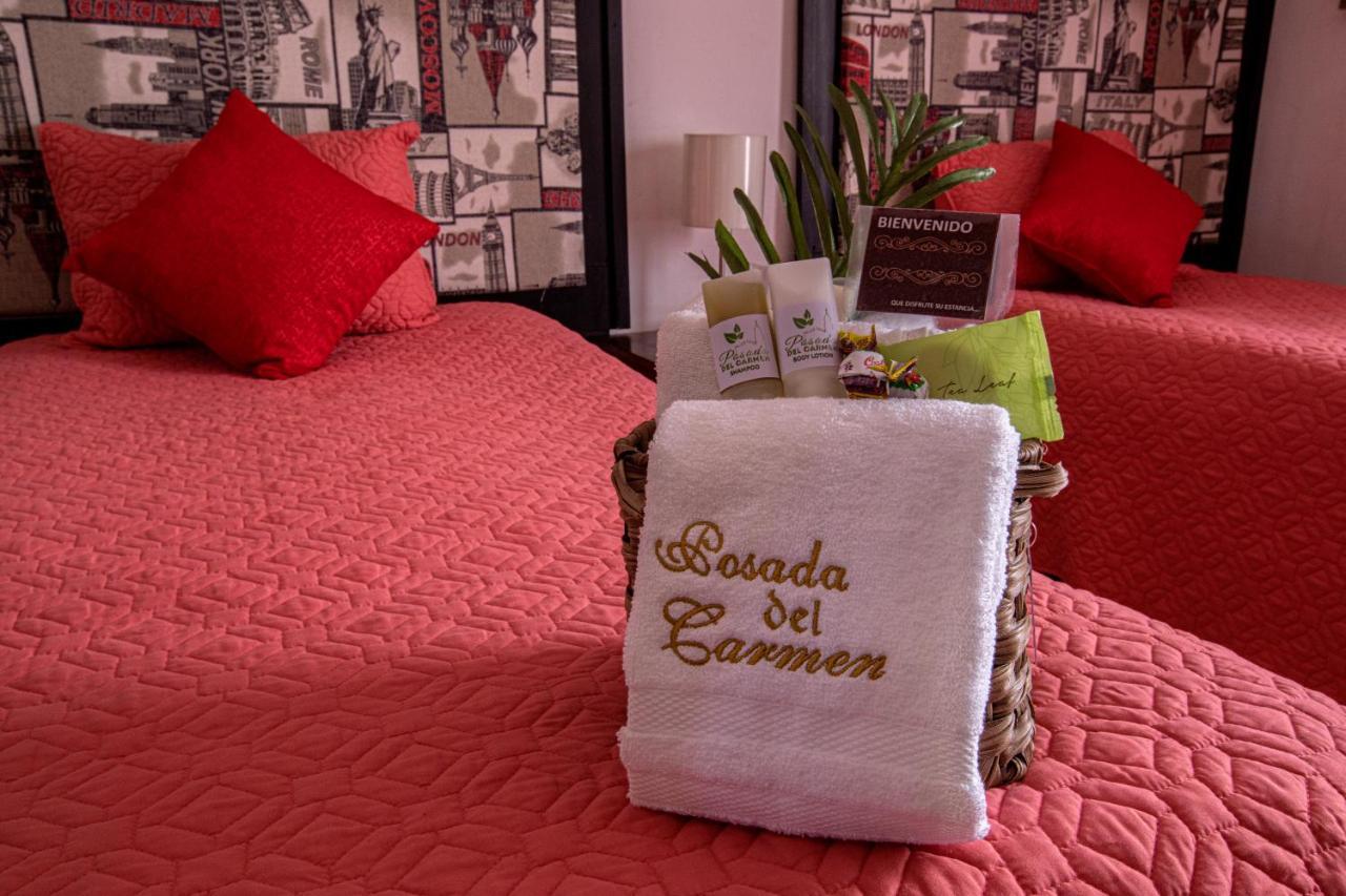 Hotel Del Carmen 2*