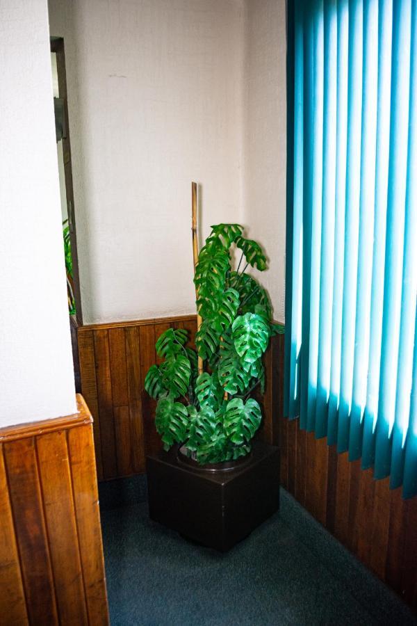 Guadalajara Hotel San Luis Potosí