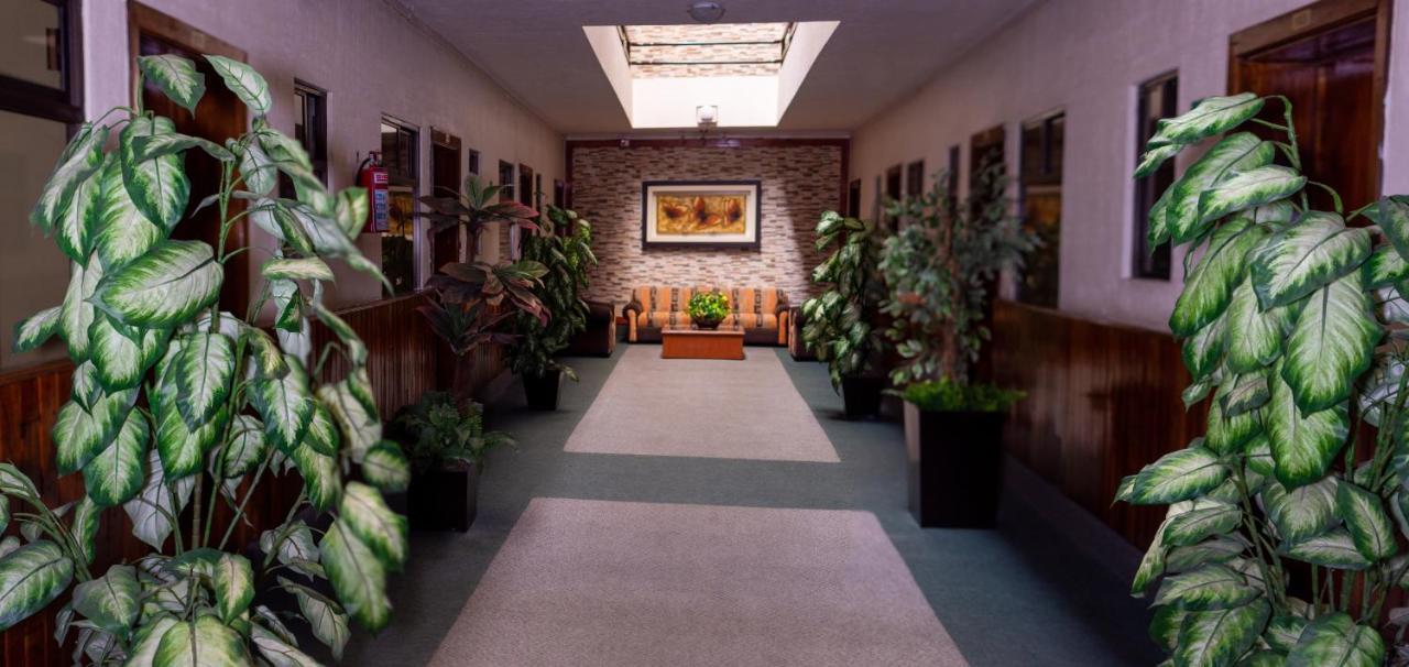 Guadalajara Hotel