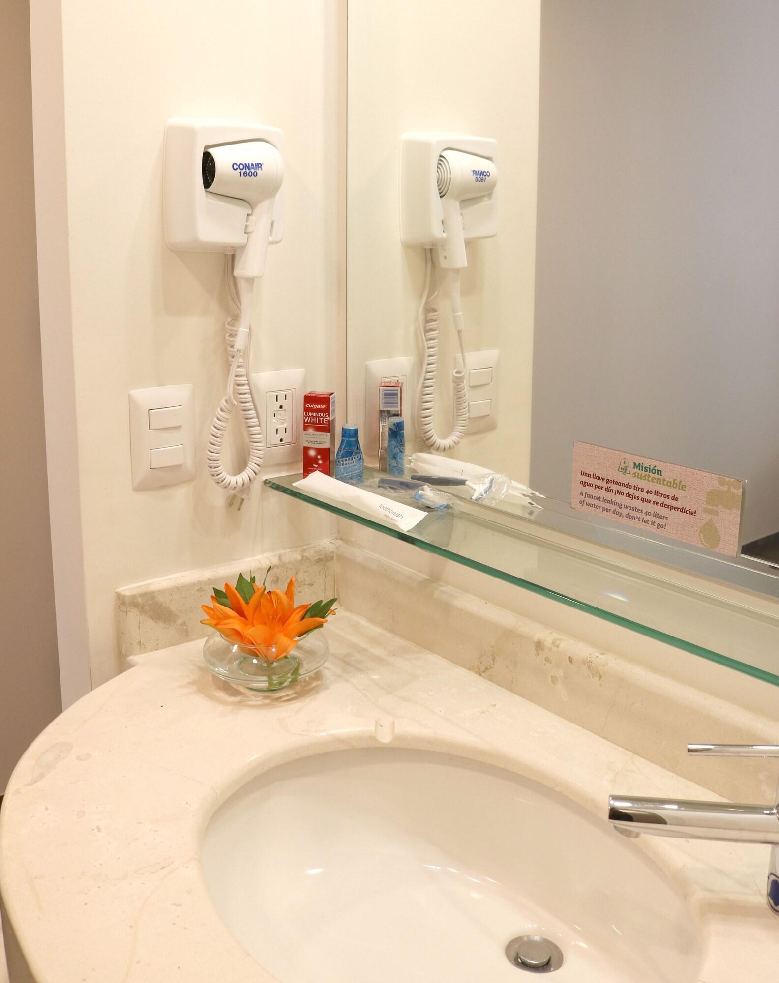 Mision Express Hotel