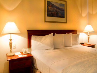 Country And By Radisson San Luis Potosí