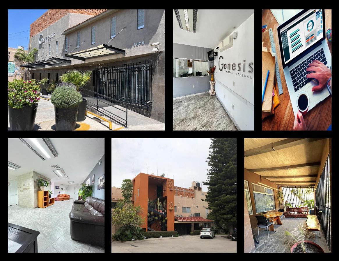 Genesis / Lofts