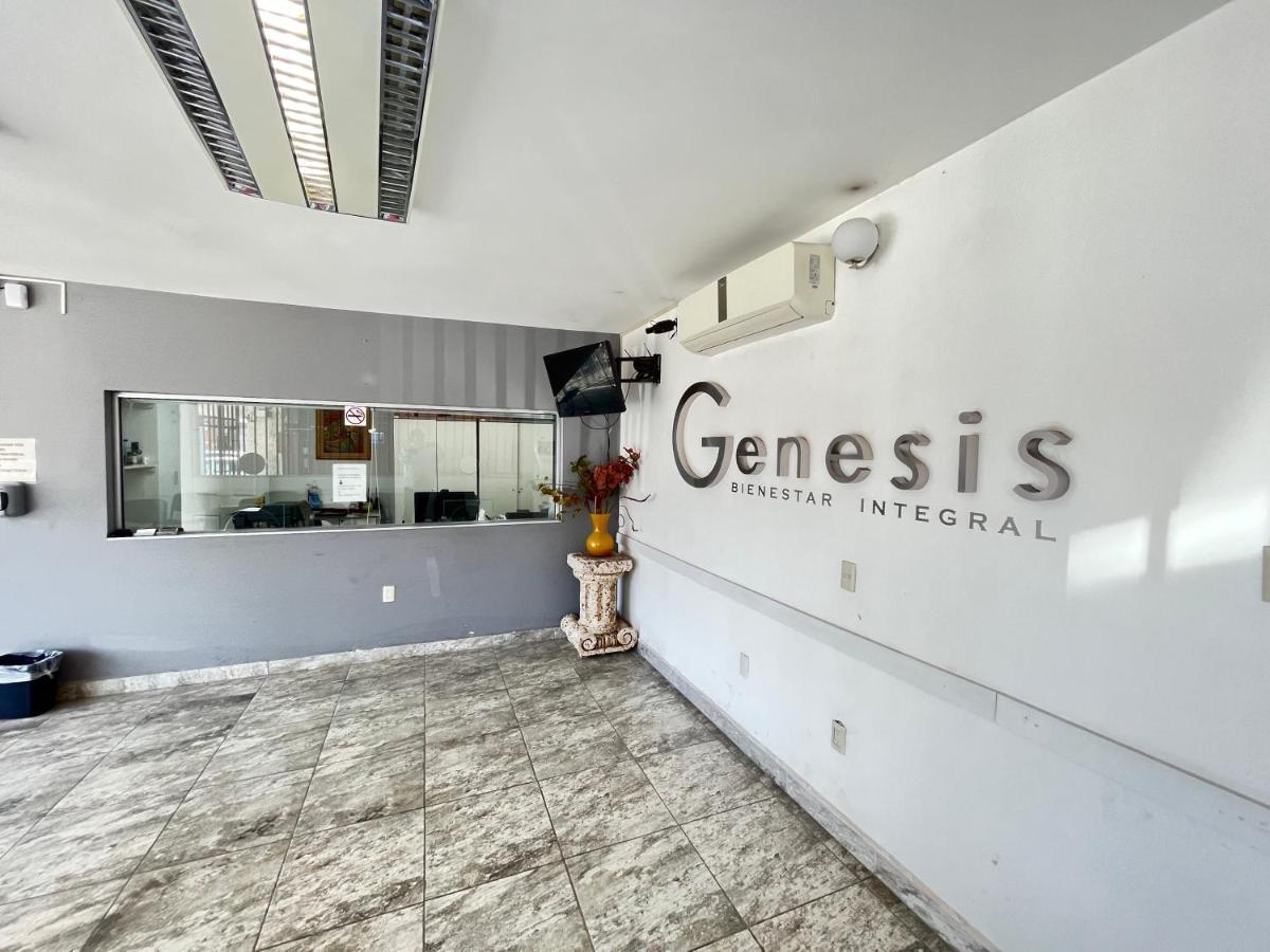 Genesis / Lofts