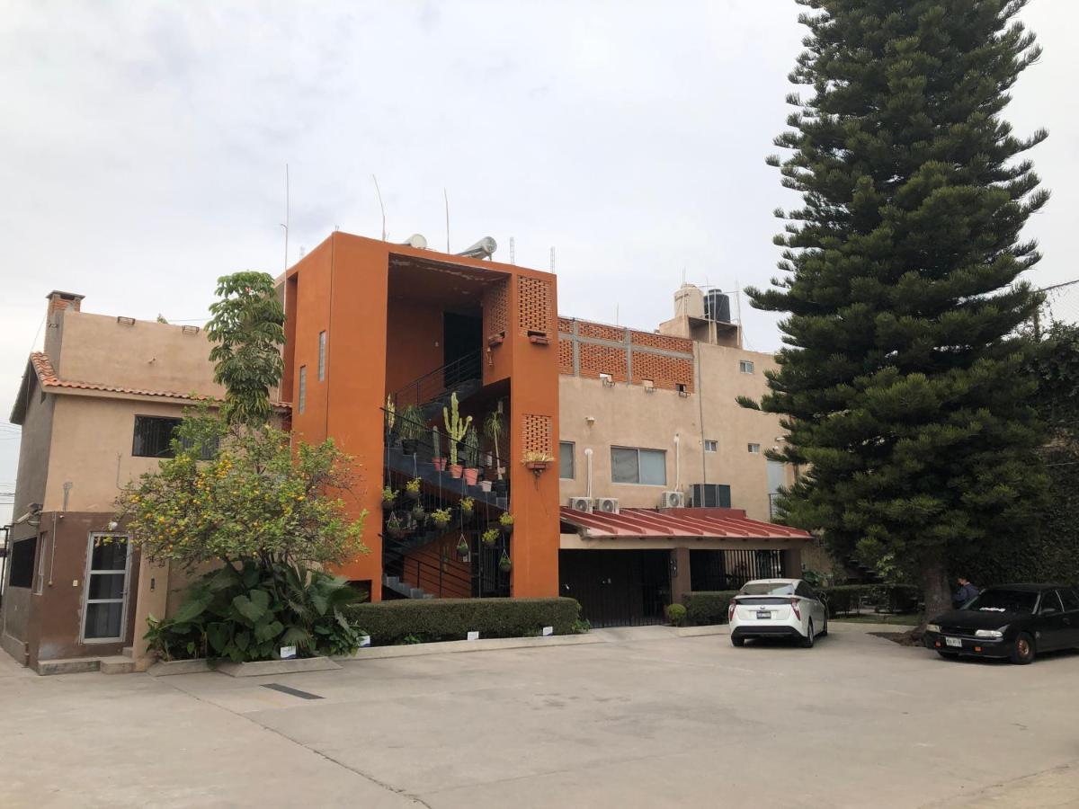 Genesis / Lofts Aparthotel San Luis Potosi
