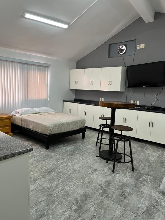 Genesis / Lofts San Luis Potosi