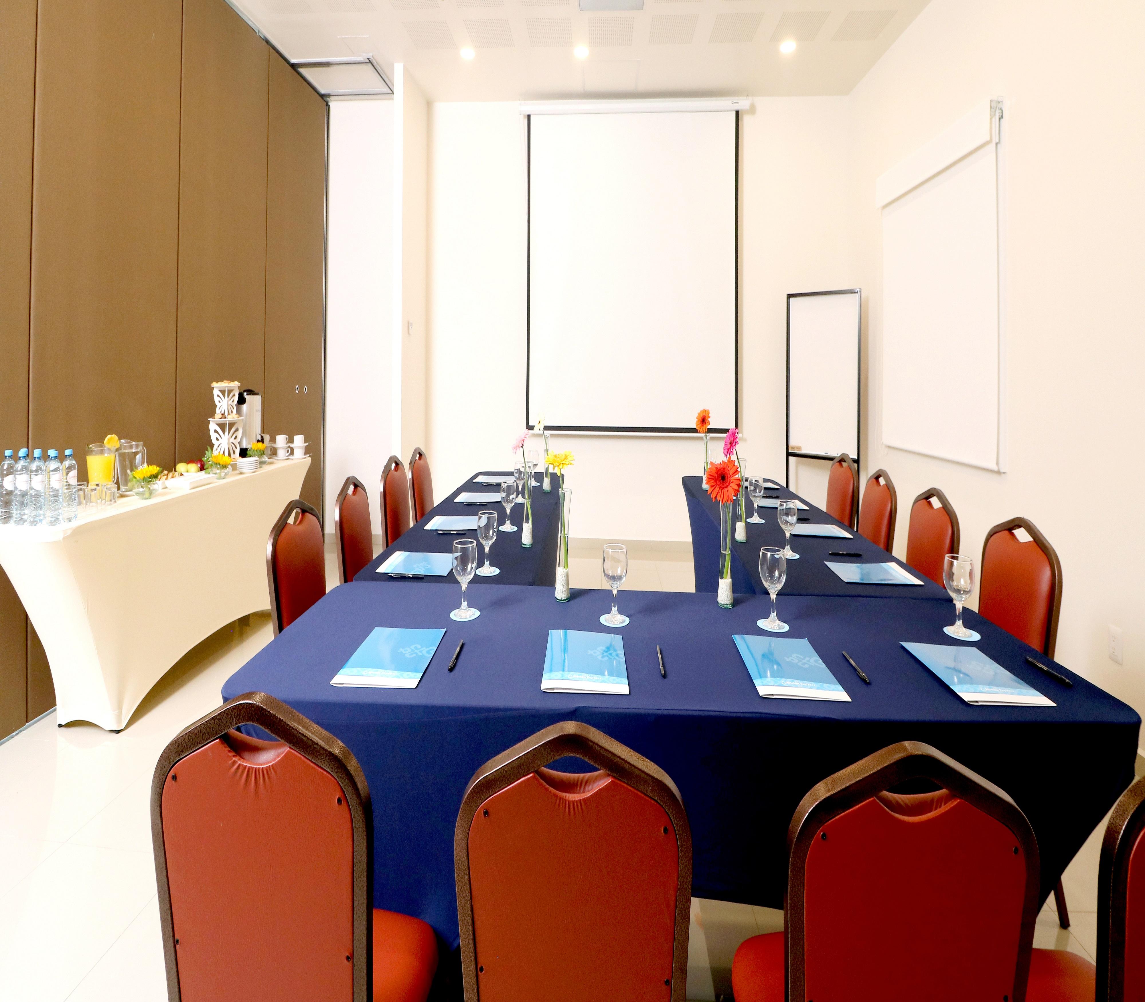 Hotel Mision Express 3*