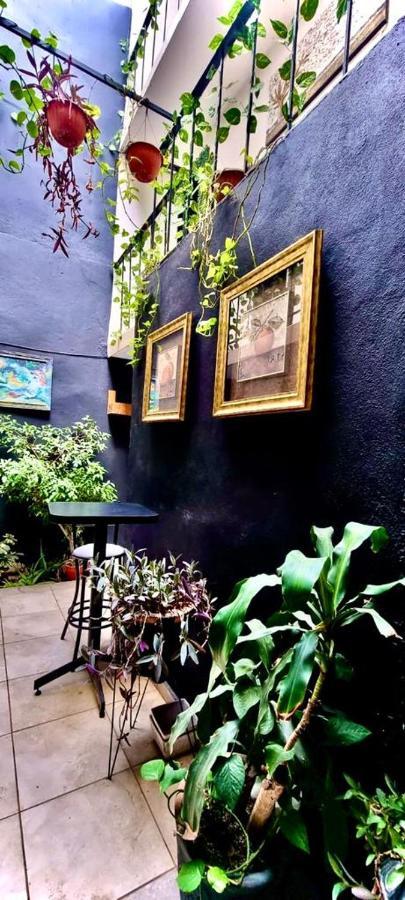 Inn Mini San Luis Potosí