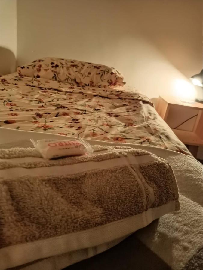 Homestay Del Centro En Slp