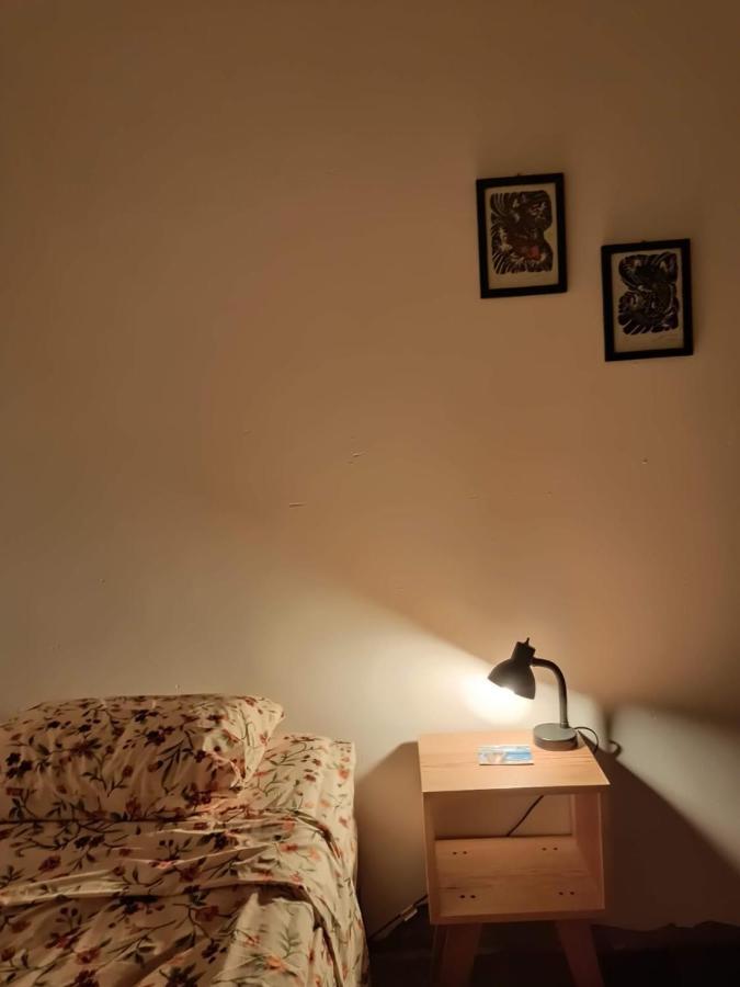 Del Centro En Slp Homestay *