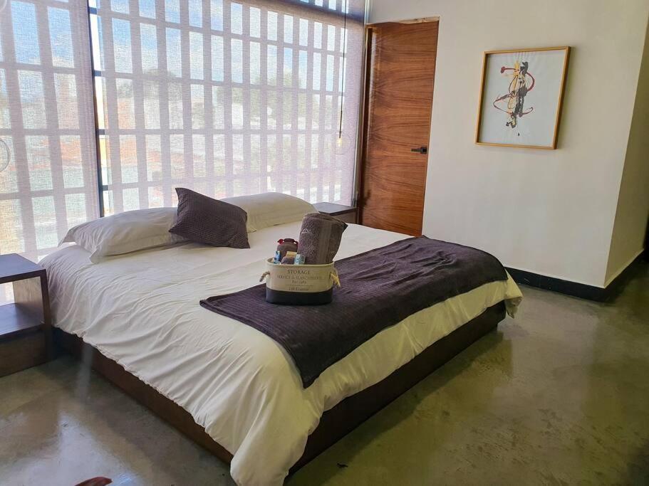 Apartamento Loft Plata En Excelente Ubicacion San Luis Potosí