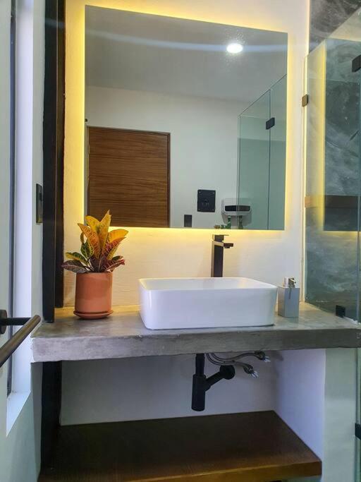 Loft Plata En Excelente Ubicacion Apartamento San Luis Potosí