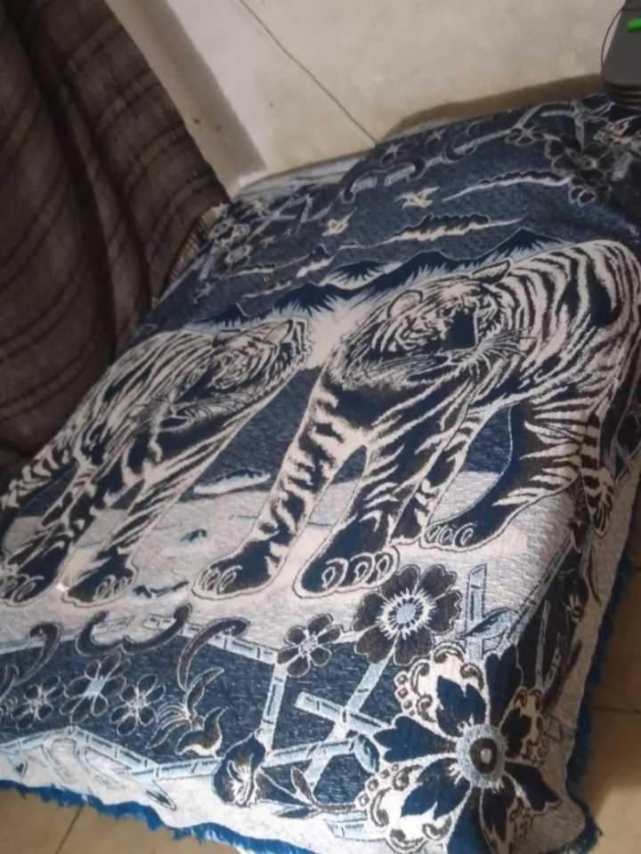 Minidepa Centrico Apartamento San Luis Potosí