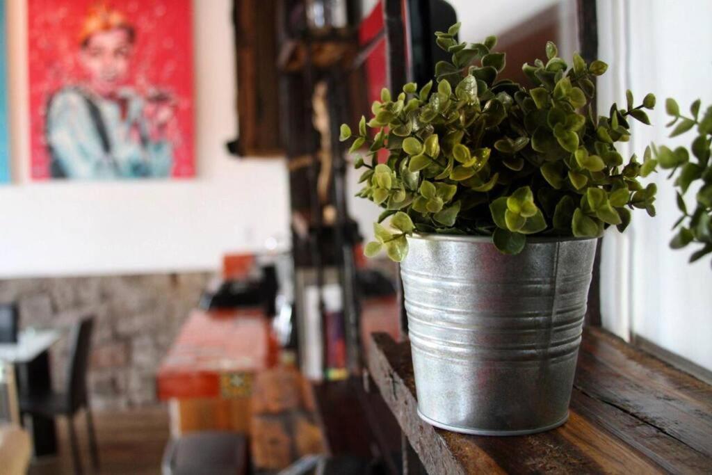 Mexican Loft By La Casa Cosme In The Center Apartment San Luis Potosi