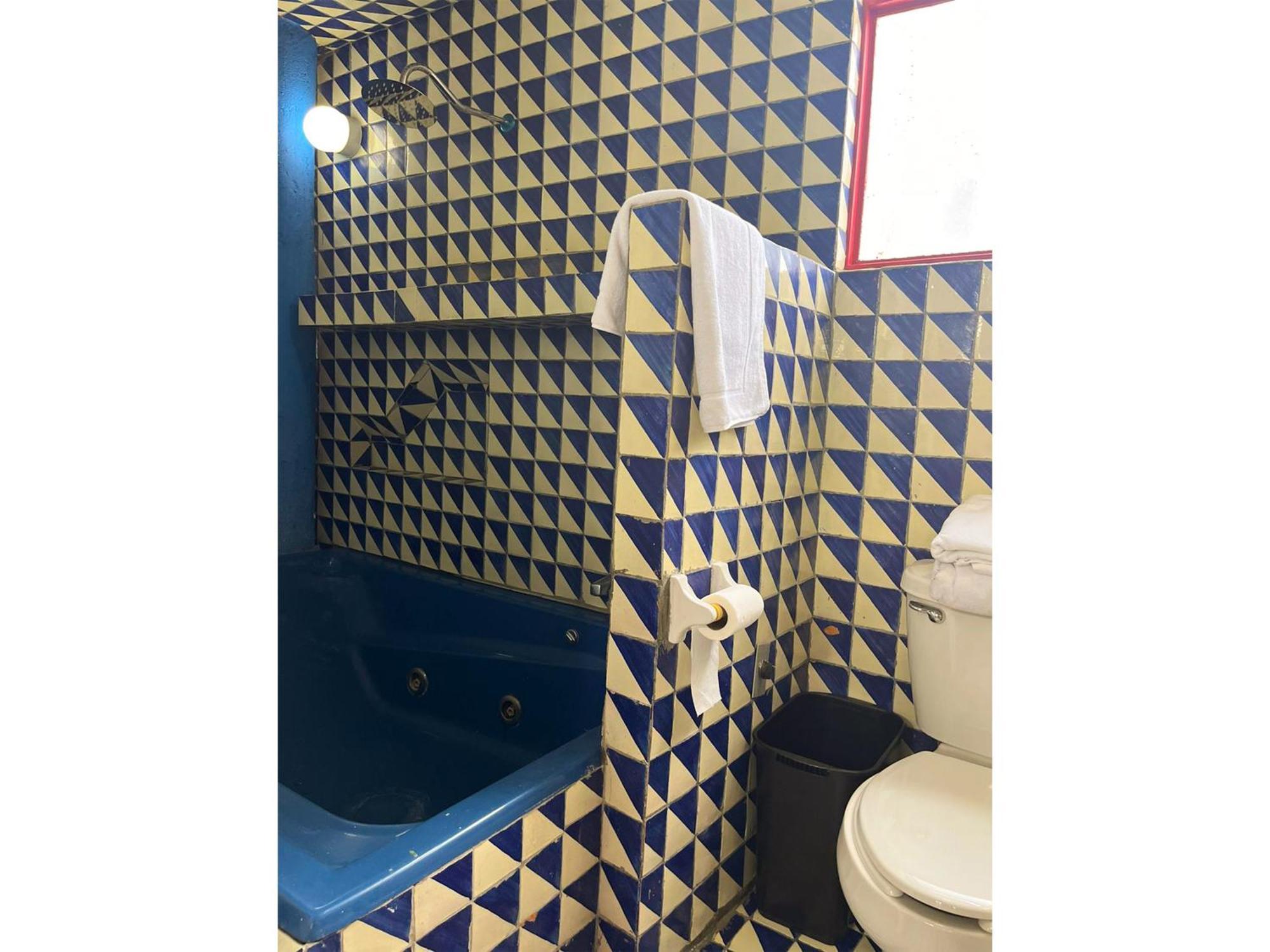 Apartment Lofts En Casa Azul Centro De Slp - Inmotega San Luis Potosi