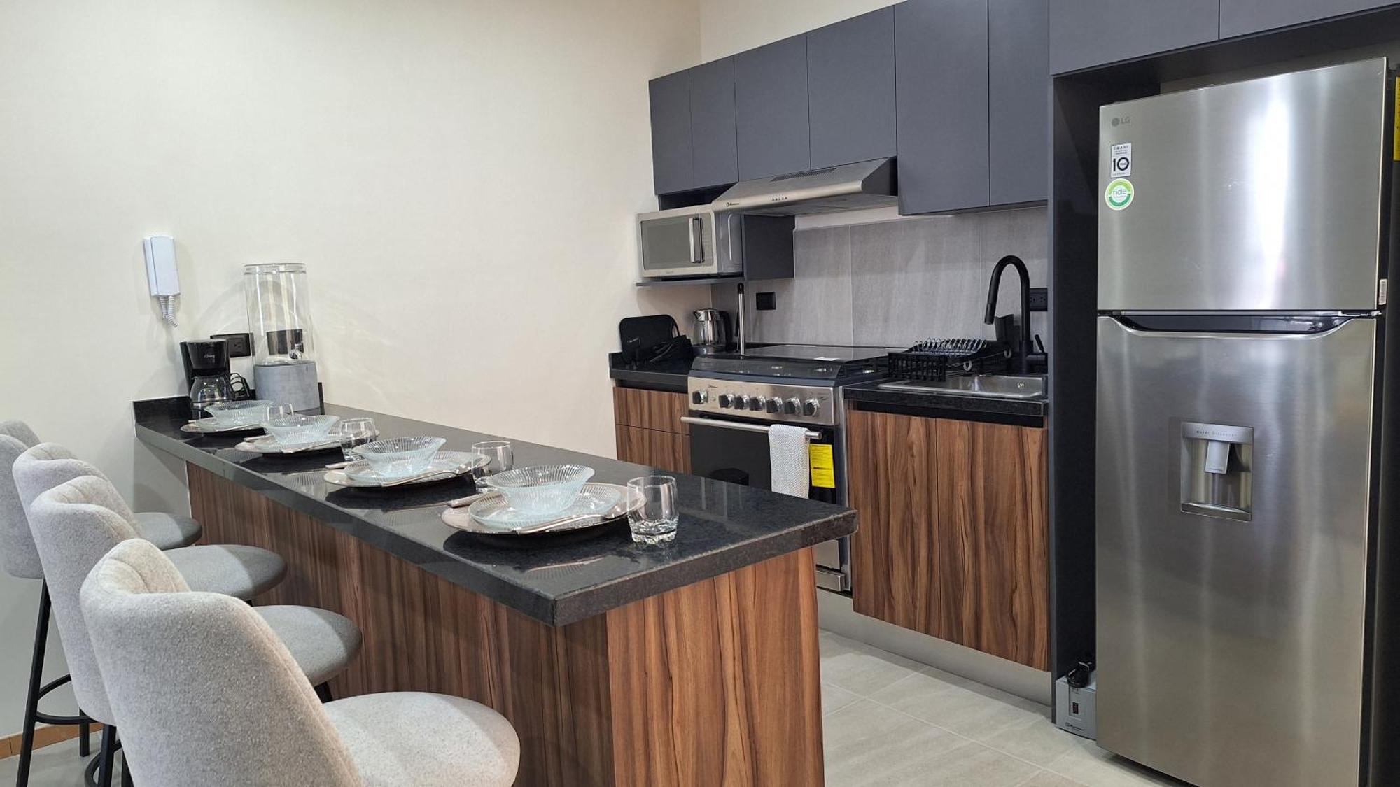 Departamento Nuevo Y Moderno Totalmente Equipado * San Luis Potosí