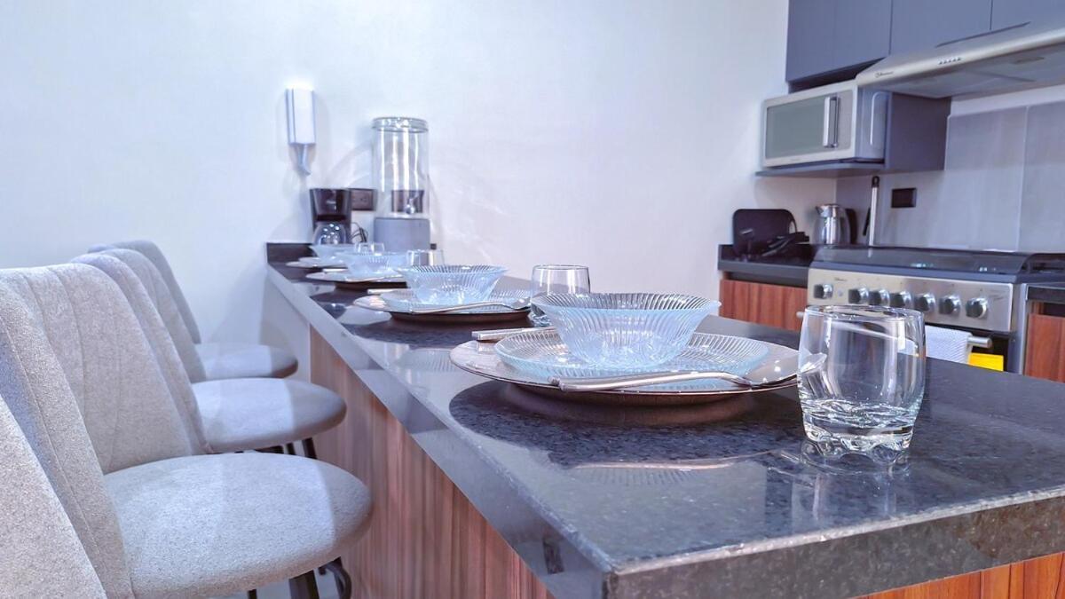 Departamento Nuevo Y Moderno Totalmente Equipado San Luis Potosí