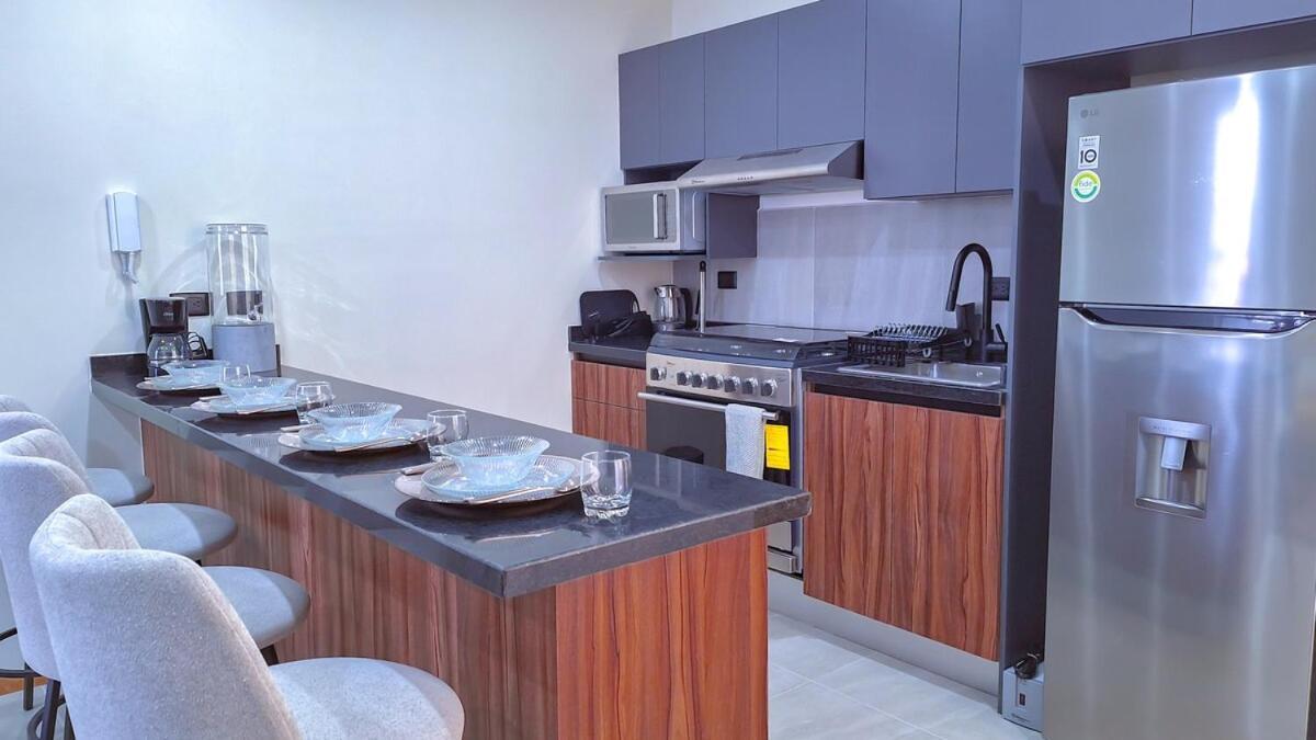 Departamento Nuevo Y Moderno Totalmente Equipado Apartamento San Luis Potosí
