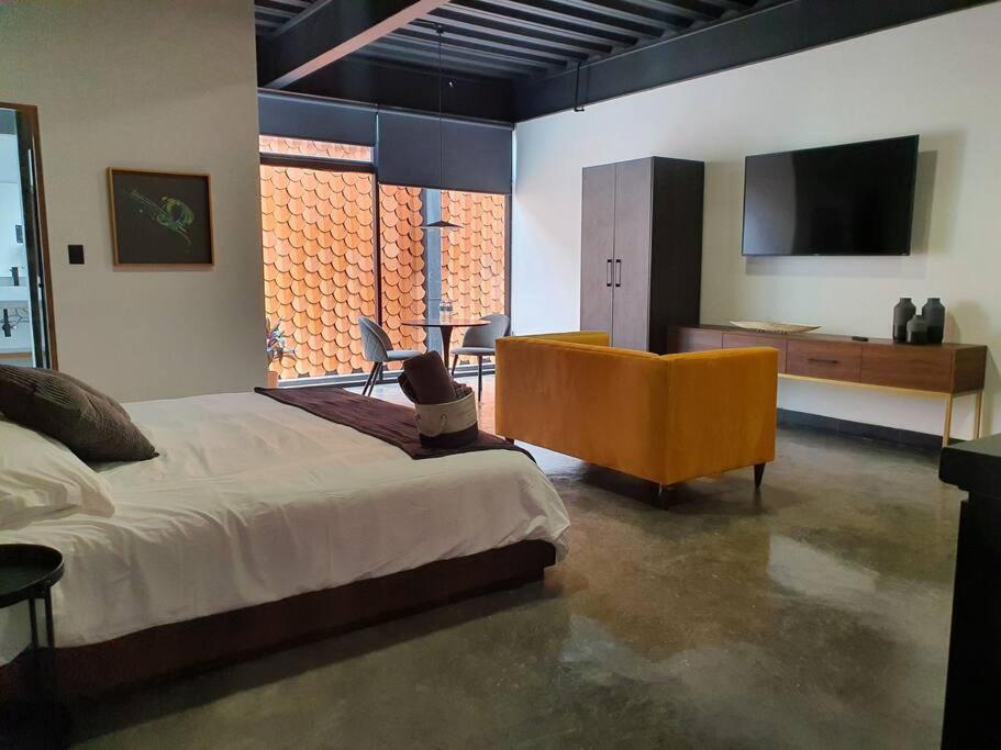Apartamento Loft Oro En Excelente Ubicacion! San Luis Potosí