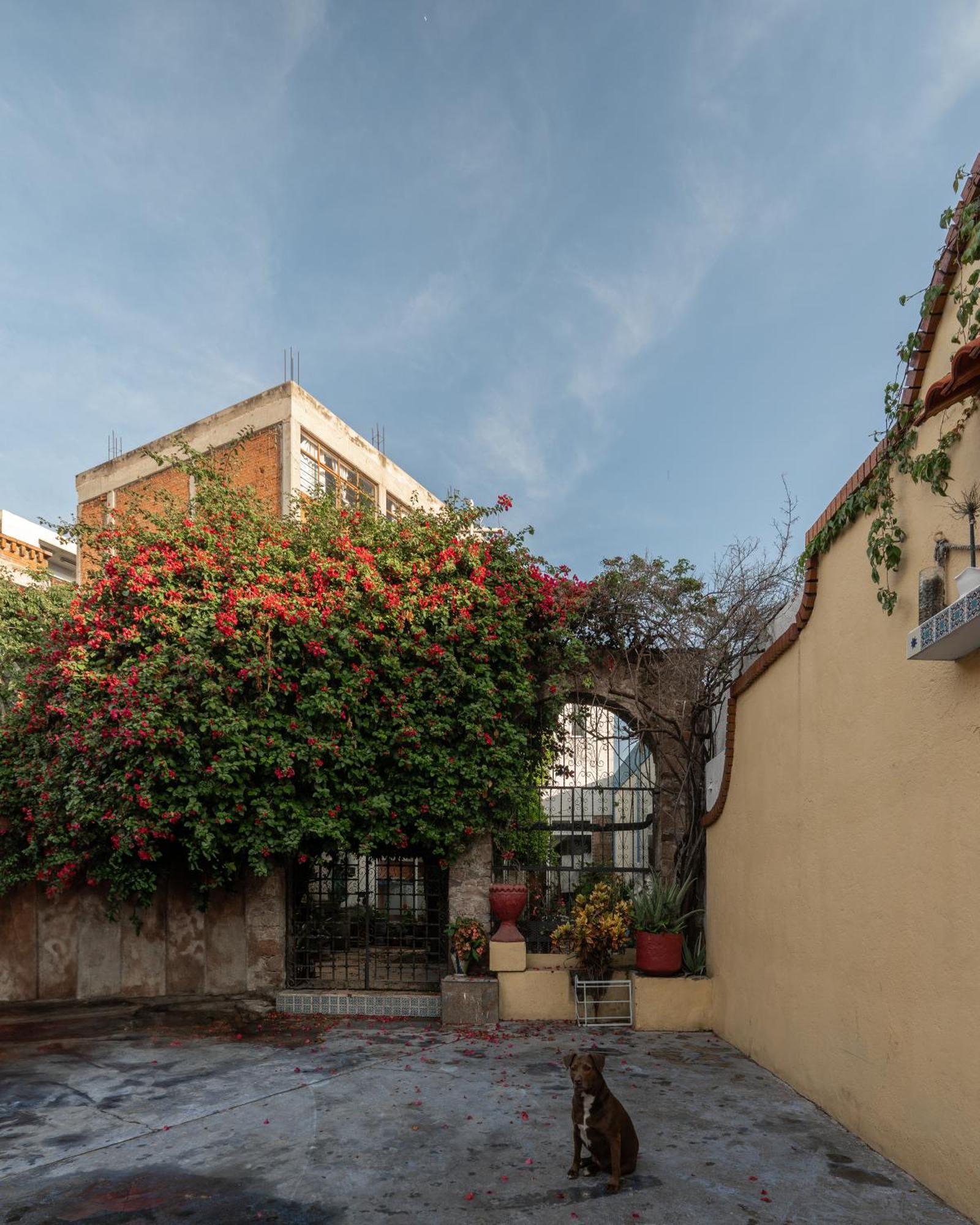 Bugambilias Hotel
