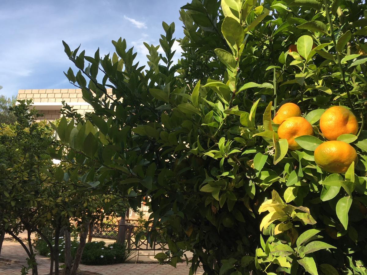 Bed & Breakfast Tulipanes San Luis Potosi