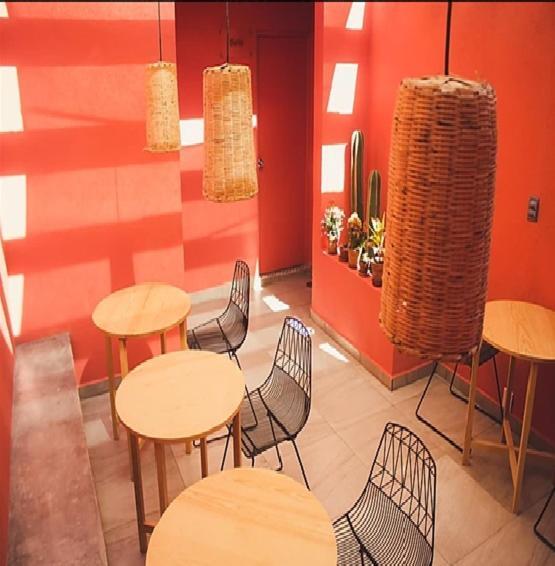 Lu De Anda Hotel San Luis Potosí