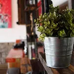 Mexican Loft By La Casa Cosme In The City Center