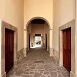 Coliving En Centro San Luis Potosi