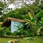 Casa Caracol