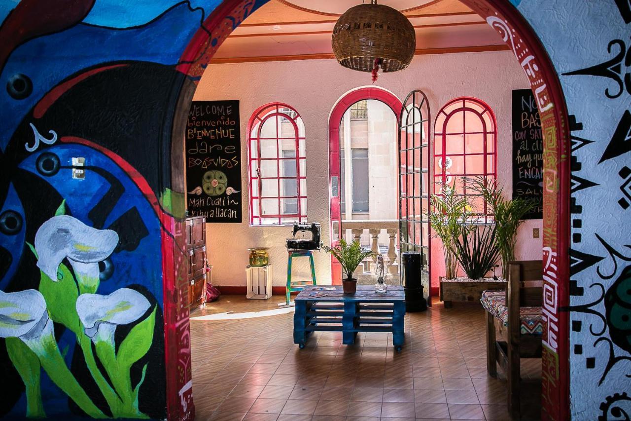 Chesal San Luis Potosí