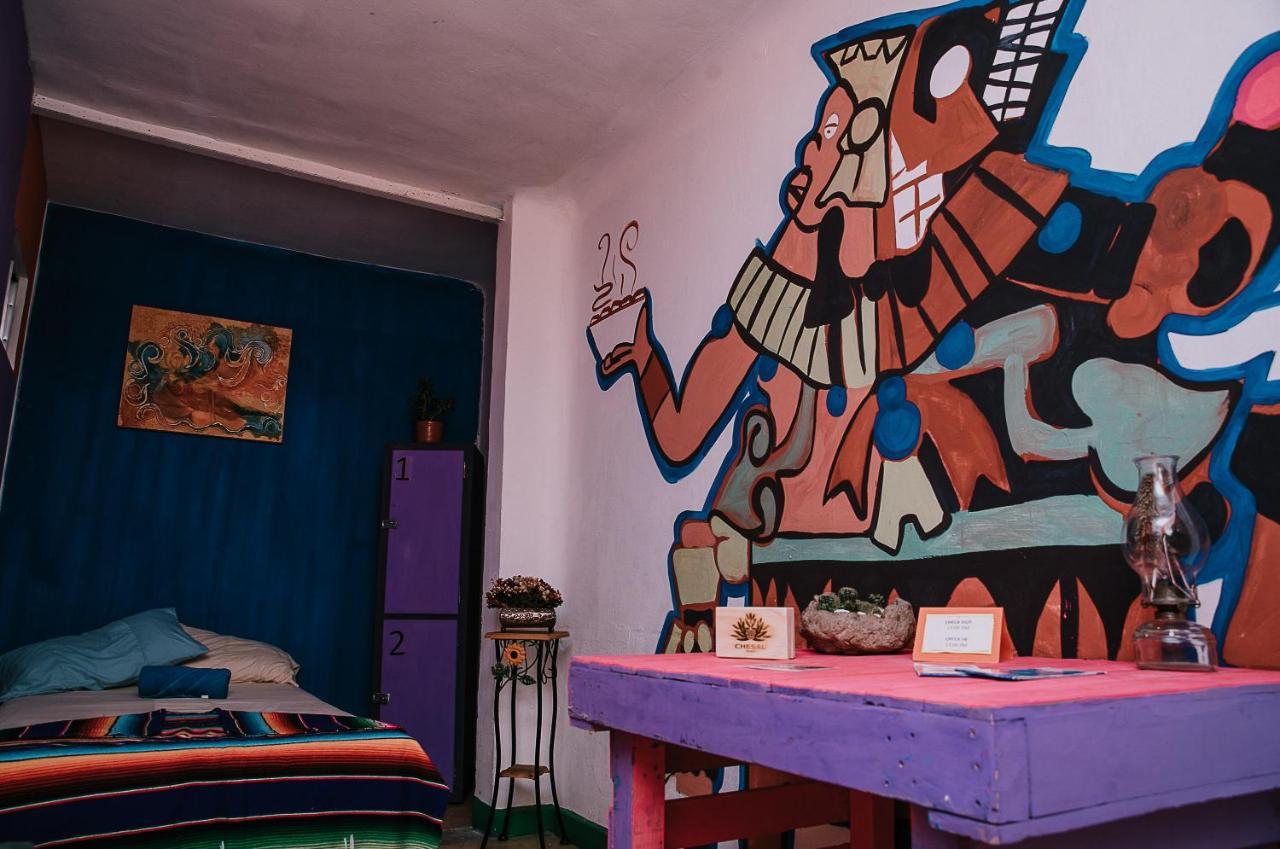 Chesal San Luis Potosí