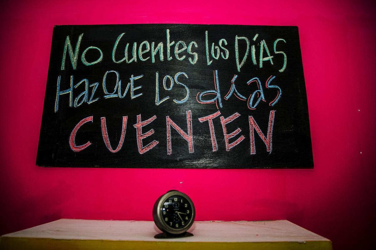 Chesal San Luis Potosí