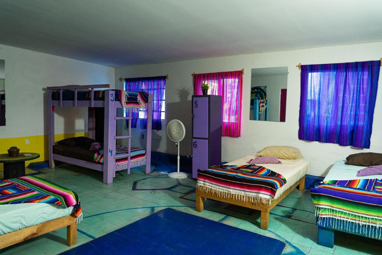 Chesal Hotel