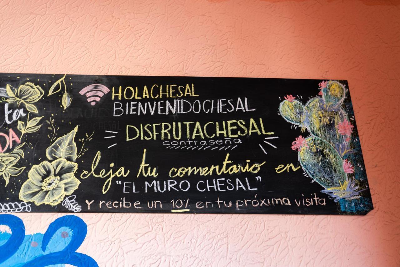 Chesal San Luis Potosí