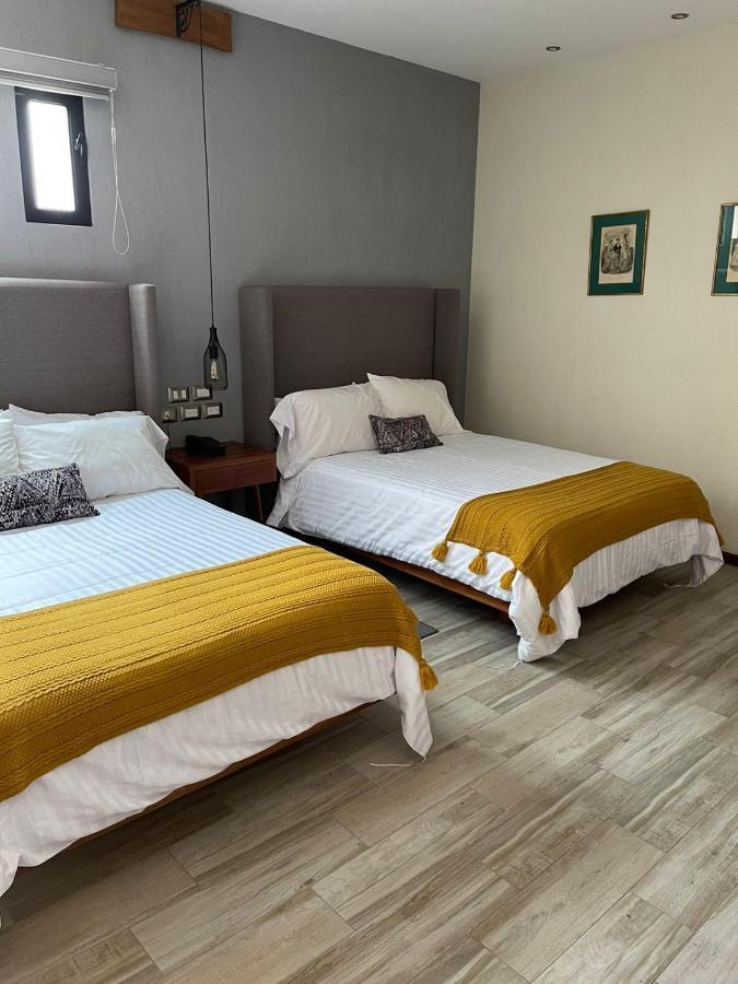 Arista 1026 San Luis Potosi