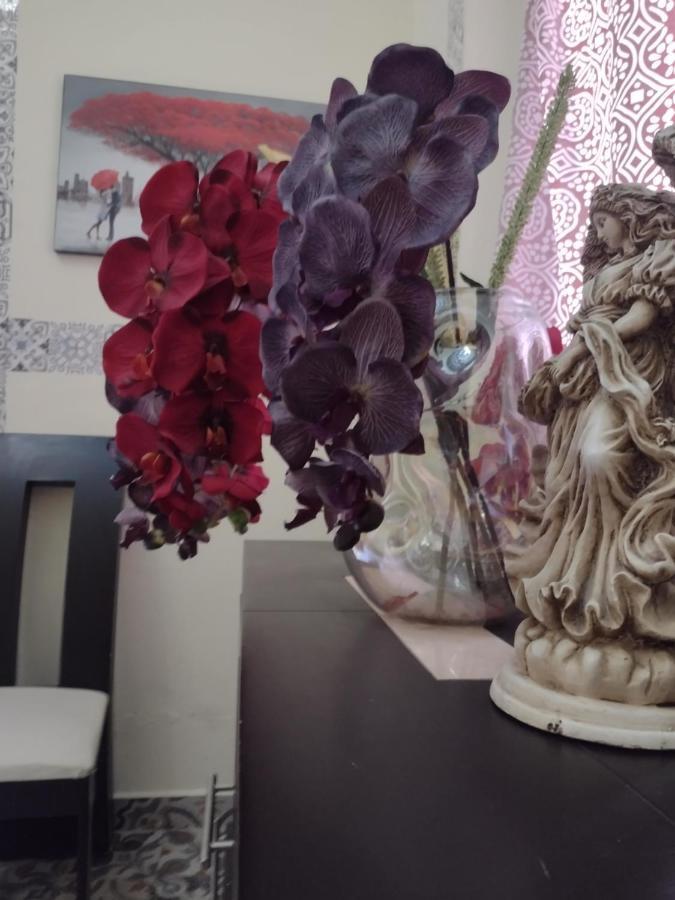 Guest house San Pancho San Luis Potosi