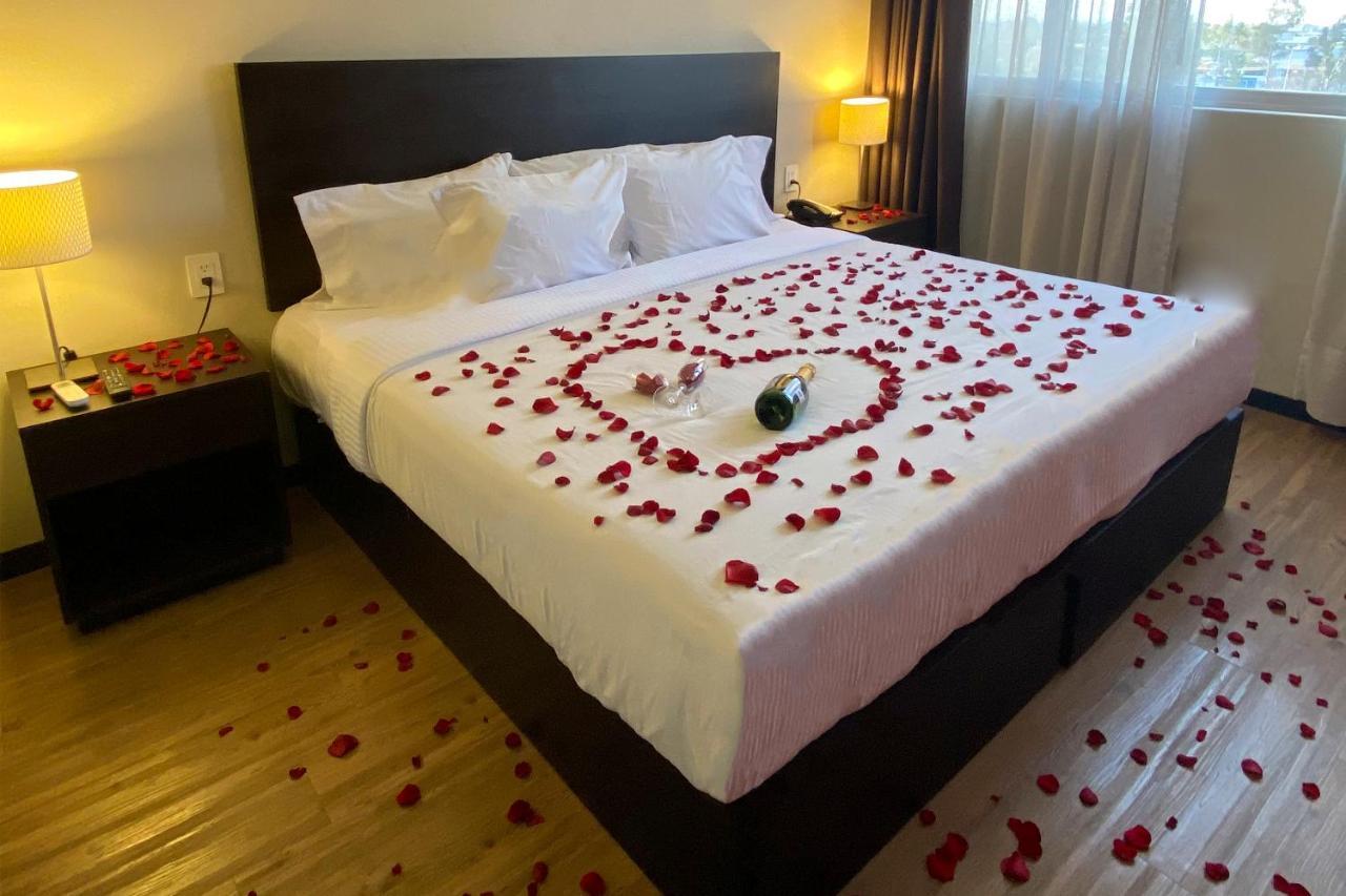 Hotel Comfort San Luis Potosí