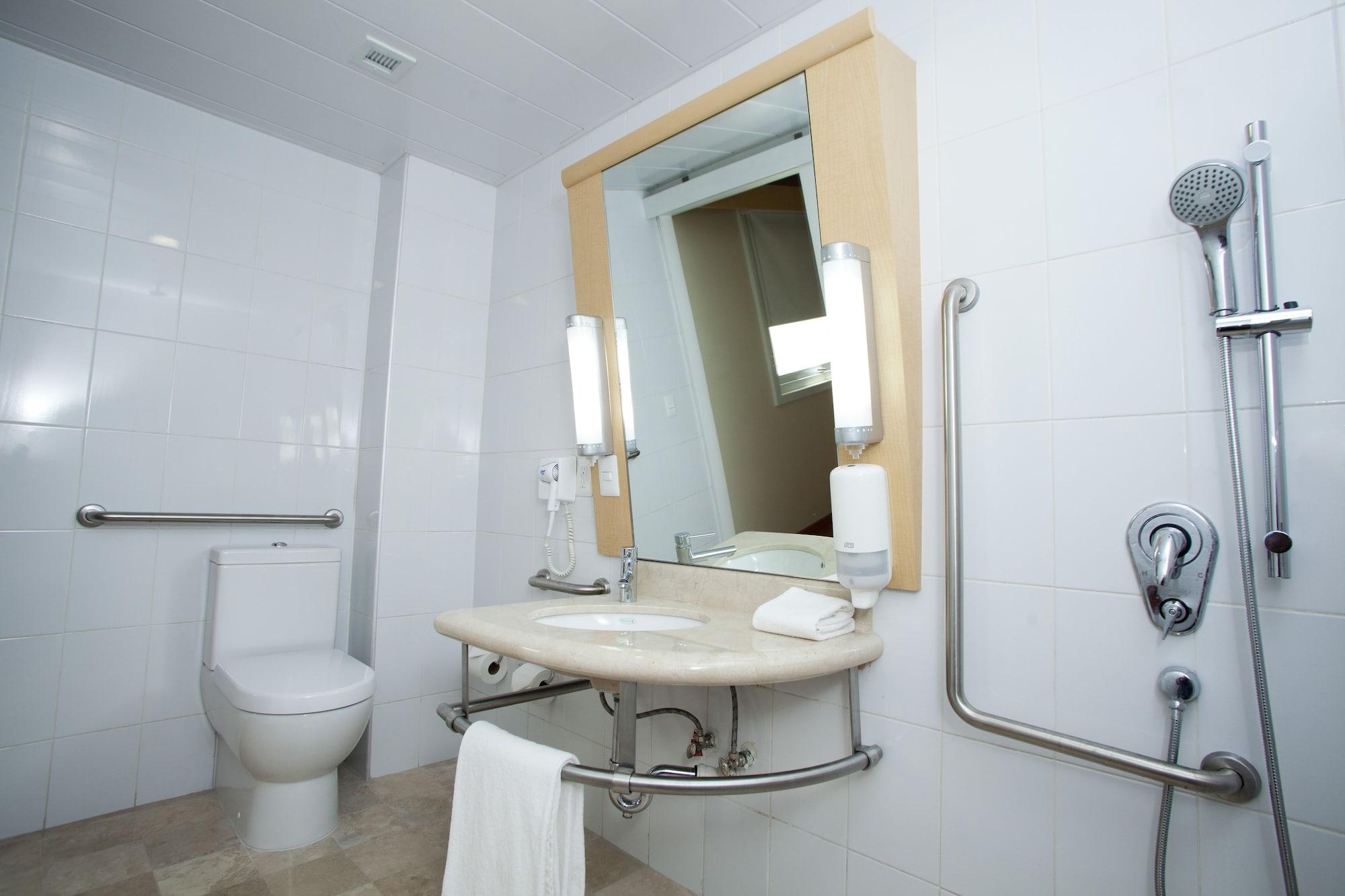Ibis 3*