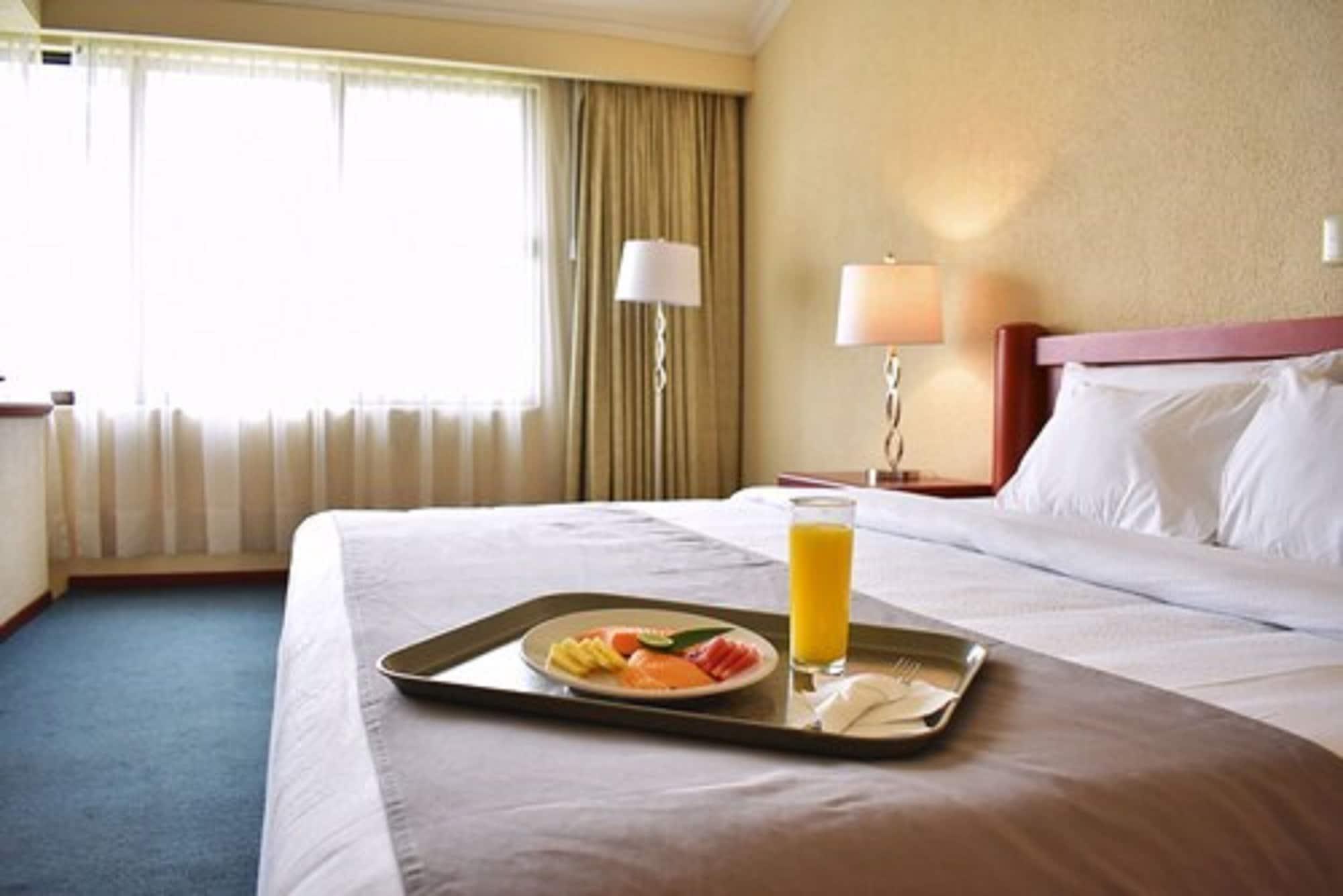 La Y Hotel San Luis Potosí