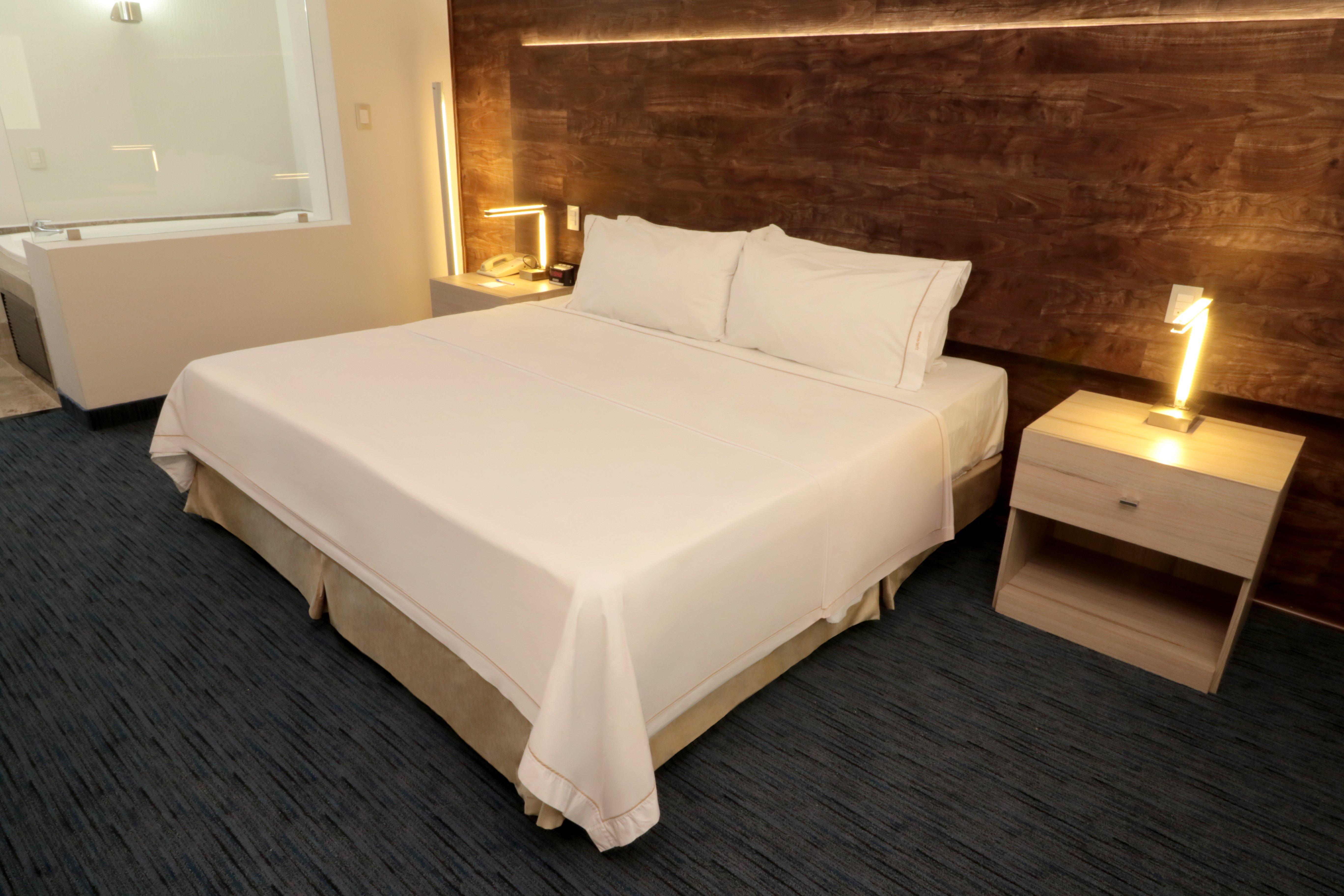 Express San Luis Potosí, An Ihg 2*