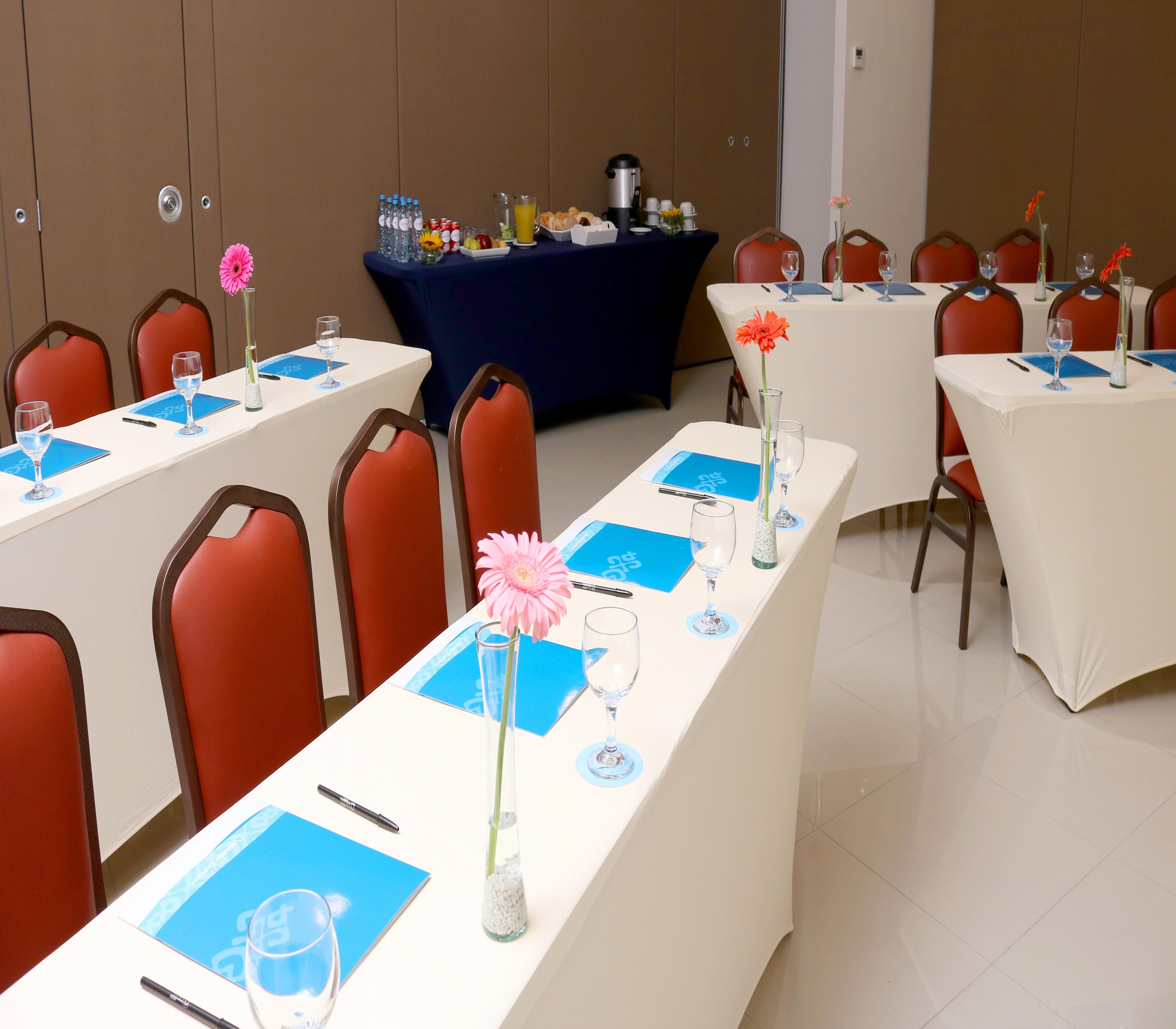 Mision Express San Luis Potosi