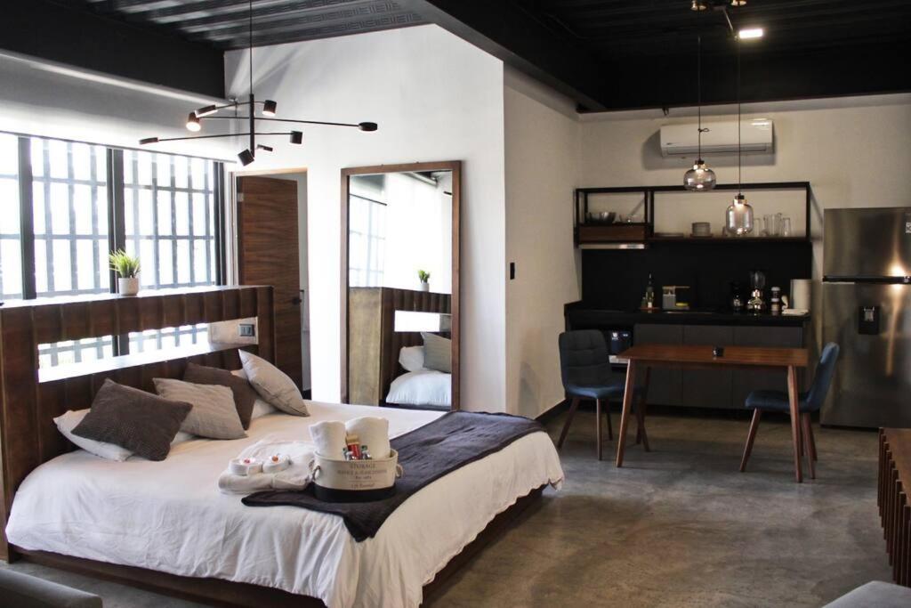 Loft Titanio En Excelente Ubicacion! * San Luis Potosí
