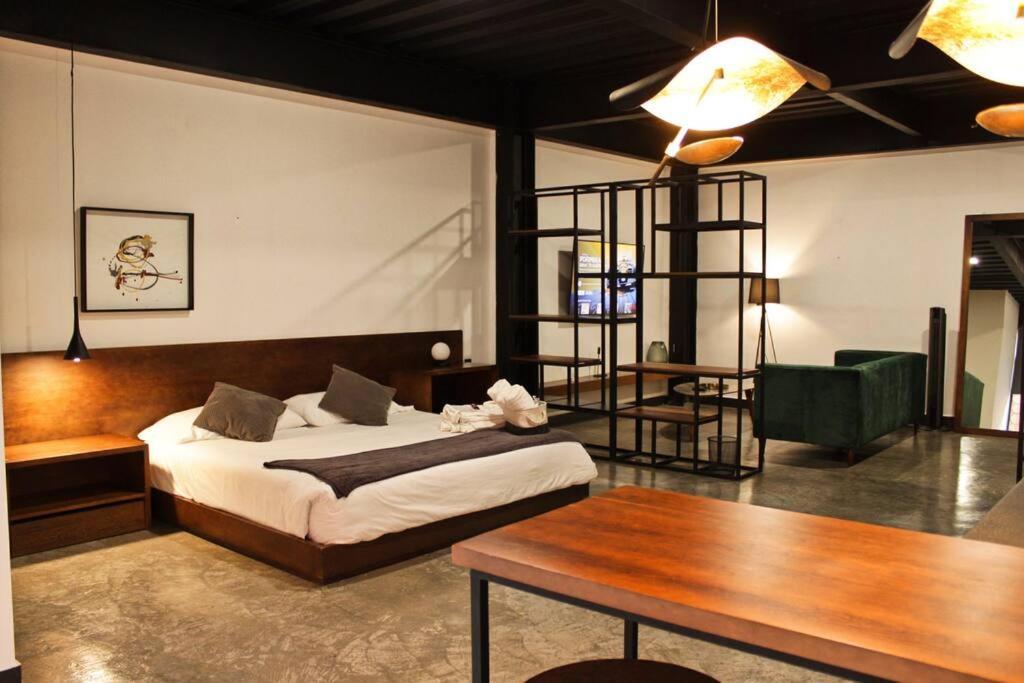 Apartamento Loft Platino En Excelente Ubicacion! San Luis Potosí