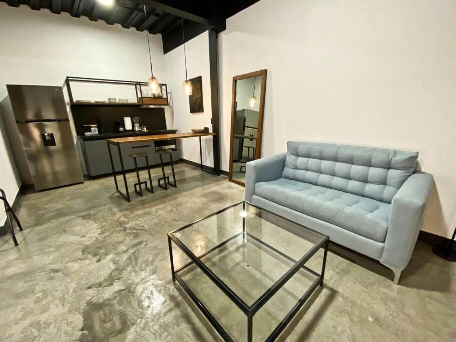 Loft Cromo En Excelente Ubicacion! San Luis Potosí