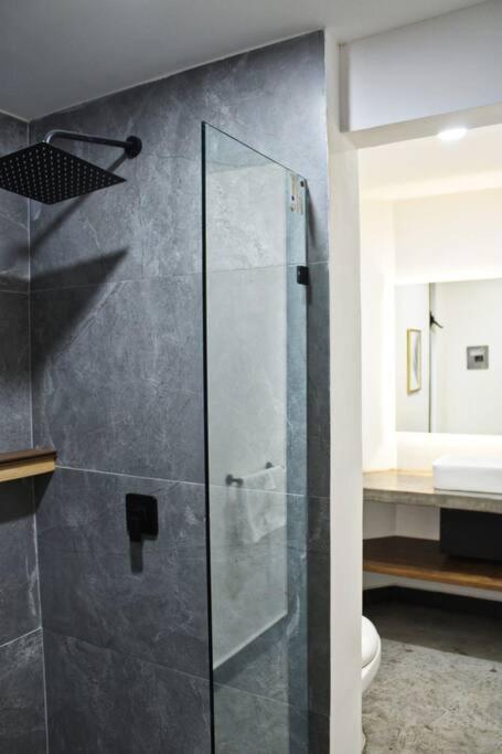 Loft Cobalto En Excelente Ubicacion! Apartamento San Luis Potosí