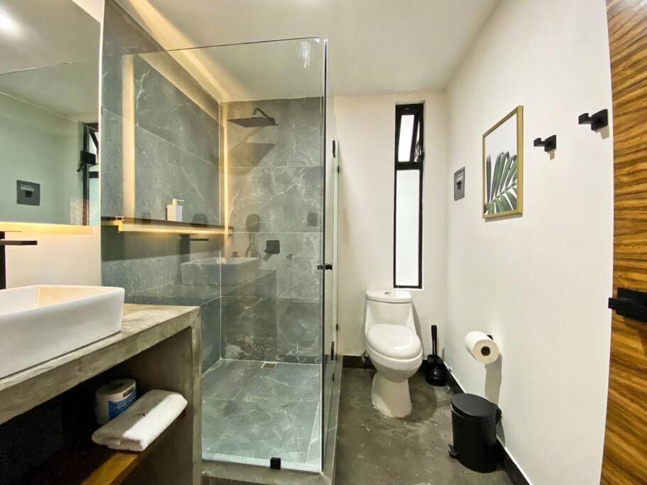 Apartamento Loft Cromo En Excelente Ubicacion! San Luis Potosí