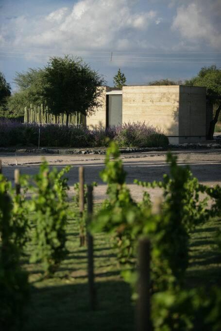 Сasa de vacaciones Vinedo Bodega 1881 San Luis Potosí