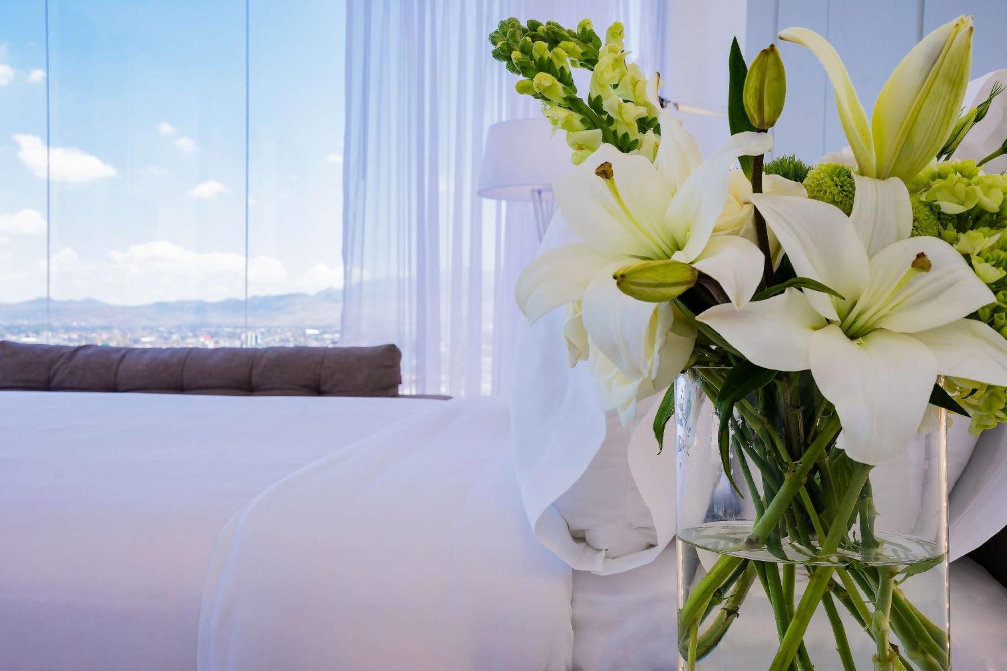 Hotel Nh San Luis Potosí