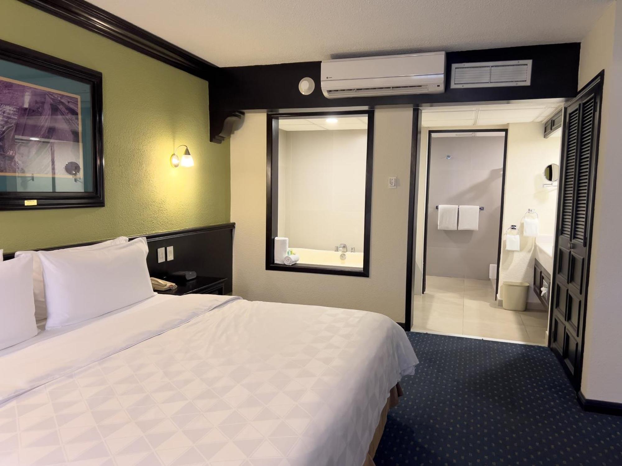 San Luis Potosi-quijote By Ihg Hotel 5*
