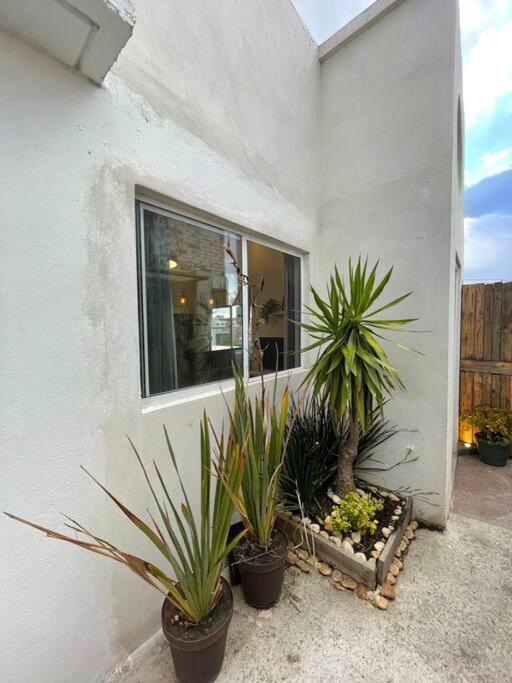 Apartamento Loft Hermoso Con Bella Vista De La Ciudad