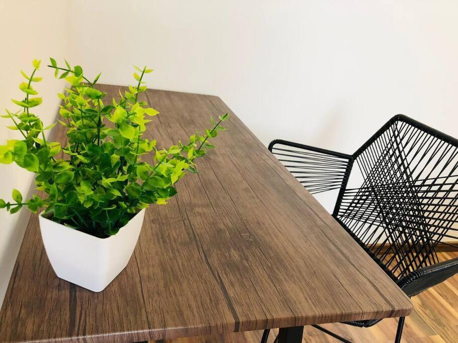 Departamento Escontria A Unos Pasos De Av.carranza Apartamento San Luis Potosí